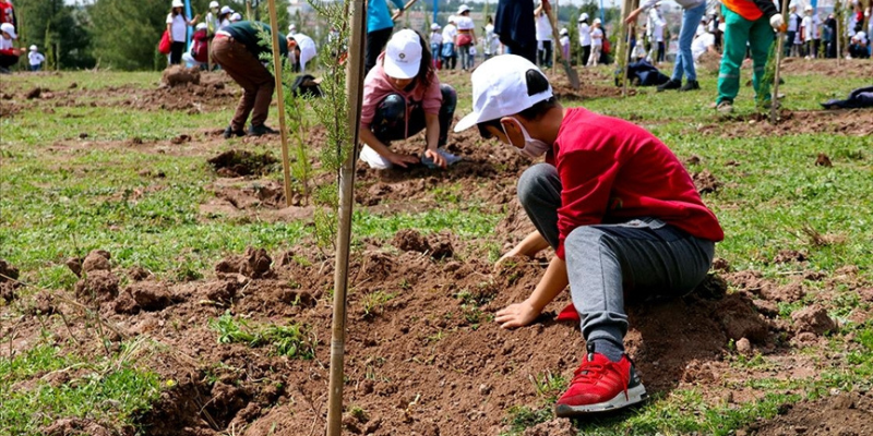 Okulda Tohumunu Yetiştir